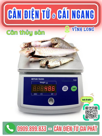C&acirc;n điện tử ở C&aacute;i Ngang Vĩnh Long - C&acirc;n Gia Ph&aacute;t
