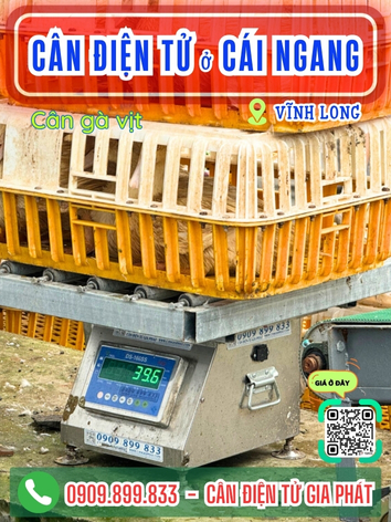 C&acirc;n điện tử ở C&aacute;i Ngang Vĩnh Long - C&acirc;n Gia Ph&aacute;t