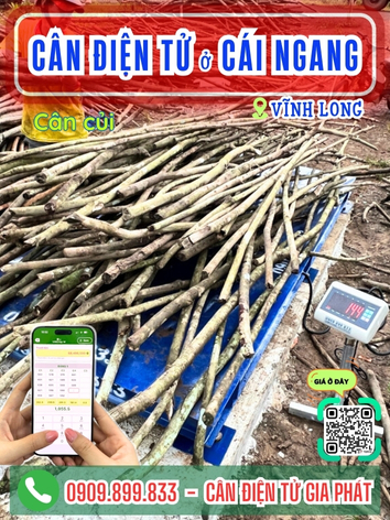 C&acirc;n điện tử ở C&aacute;i Ngang Vĩnh Long - C&acirc;n Gia Ph&aacute;t