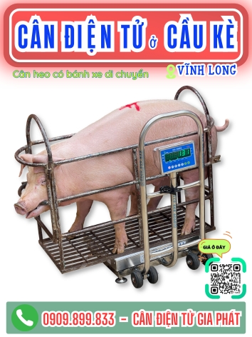 C&acirc;n điện tử ở Cầu K&egrave; Vĩnh Long - C&acirc;n Gia Ph&aacute;t