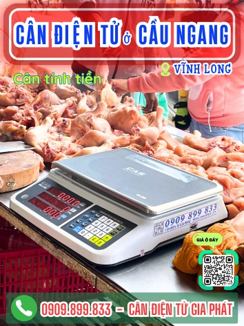 C&acirc;n điện tử ở Cầu Ngang Vĩnh Long - C&acirc;n Gia Ph&aacute;t