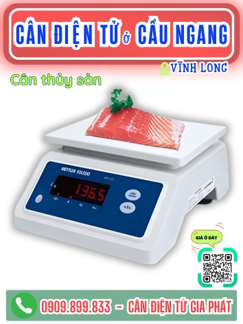C&acirc;n điện tử ở Cầu Ngang Vĩnh Long - C&acirc;n Gia Ph&aacute;t