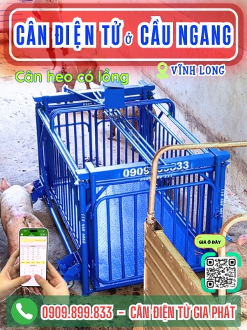 C&acirc;n điện tử ở Cầu Ngang Vĩnh Long - C&acirc;n Gia Ph&aacute;t
