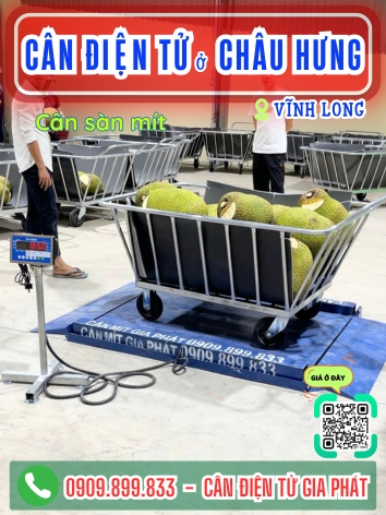 Cân điện tử ở Châu Hưng Vĩnh Long - Cân Gia Phát