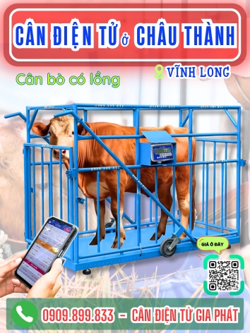 C&acirc;n điện tử ở Ch&acirc;u Th&agrave;nh Vĩnh Long - C&acirc;n Gia Ph&aacute;t