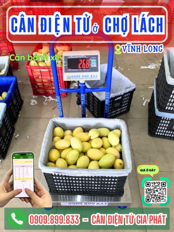 C&acirc;n điện tử ở Chợ L&aacute;ch Vĩnh Long - C&acirc;n Gia Ph&aacute;t