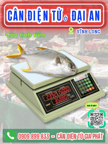 C&acirc;n điện tử ở Đại An Vĩnh Long - C&acirc;n Gia Ph&aacute;t