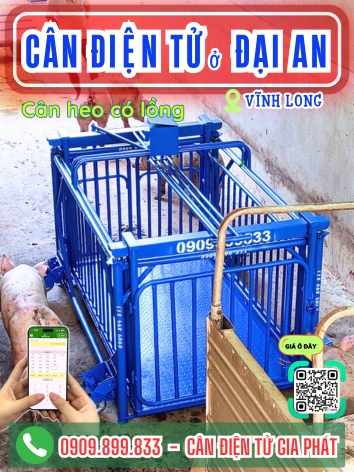 C&acirc;n điện tử ở Đại An Vĩnh Long - C&acirc;n Gia Ph&aacute;t
