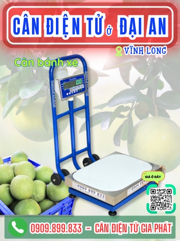 C&acirc;n điện tử ở Đại An Vĩnh Long - C&acirc;n Gia Ph&aacute;t