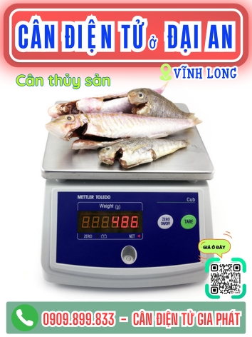 C&acirc;n điện tử ở Đại An Vĩnh Long - C&acirc;n Gia Ph&aacute;t