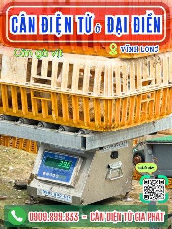 C&acirc;n điện tử ở Đại Điền Vĩnh Long - C&acirc;n Gia Ph&aacute;t