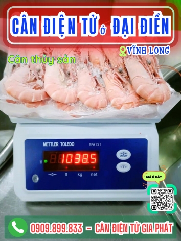 C&acirc;n điện tử ở Đại Điền Vĩnh Long - C&acirc;n Gia Ph&aacute;t