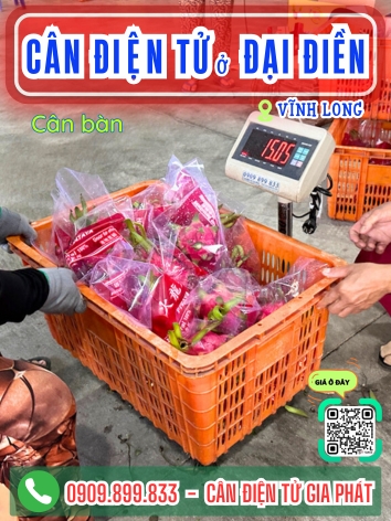 C&acirc;n điện tử ở Đại Điền Vĩnh Long - C&acirc;n Gia Ph&aacute;t