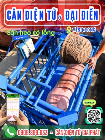 C&acirc;n điện tử ở Đại Điền Vĩnh Long - C&acirc;n Gia Ph&aacute;t