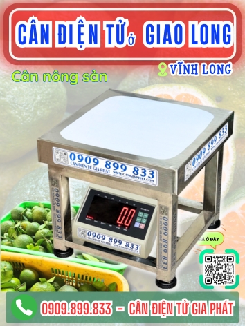 Cân điện tử ở Giao Long Vĩnh Long - Cân Gia Phát