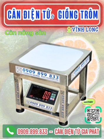 C&acirc;n điện tử ở Giồng Tr&ocirc;m Vĩnh Long - C&acirc;n Gia Ph&aacute;t