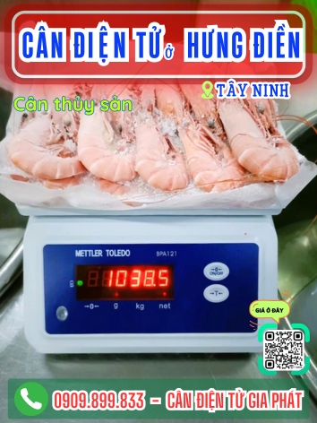 C&acirc;n điện tử ở Hưng Điền T&acirc;y Ninh - C&acirc;n Gia Ph&aacute;t