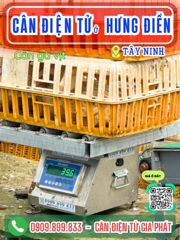 Cân điện tử ở Hưng Điền Tây Ninh - Cân Gia Phát