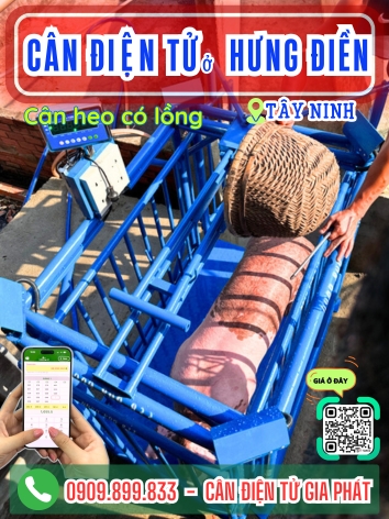 Cân điện tử ở Hưng Điền Tây Ninh - Cân Gia Phát