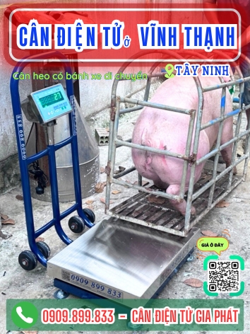 C&acirc;n điện tử ở x&atilde; Vĩnh Thạnh T&acirc;y Ninh - C&acirc;n Gia Ph&aacute;t