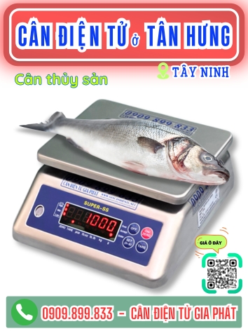 C&acirc;n điện tử ở T&acirc;n Hưng T&acirc;y Ninh - C&acirc;n Gia Ph&aacute;t