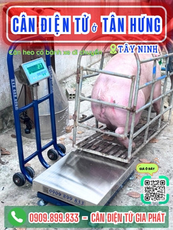 C&acirc;n điện tử ở T&acirc;n Hưng T&acirc;y Ninh - C&acirc;n Gia Ph&aacute;t