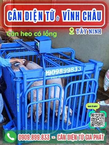 C&acirc;n điện tử ở Vĩnh Ch&acirc;u T&acirc;y Ninh - C&acirc;n Gia Ph&aacute;t