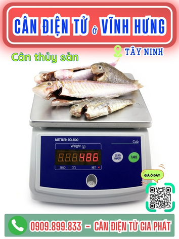 C&acirc;n điện tử ở Vĩnh Hưng T&acirc;y Ninh - C&acirc;n Gia Ph&aacute;t