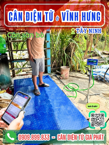 C&acirc;n điện tử ở Vĩnh Hưng T&acirc;y Ninh - C&acirc;n Gia Ph&aacute;t