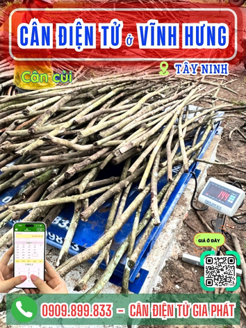 C&acirc;n điện tử ở Vĩnh Hưng T&acirc;y Ninh - C&acirc;n Gia Ph&aacute;t