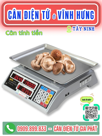 C&acirc;n điện tử ở Vĩnh Hưng T&acirc;y Ninh - C&acirc;n Gia Ph&aacute;t