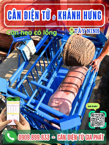 C&acirc;n điện tử ở Vĩnh Hưng T&acirc;y Ninh - C&acirc;n Gia Ph&aacute;t