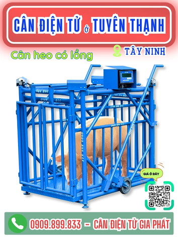 Cân điện tử ở xã Tuyên Thạnh Tây Ninh