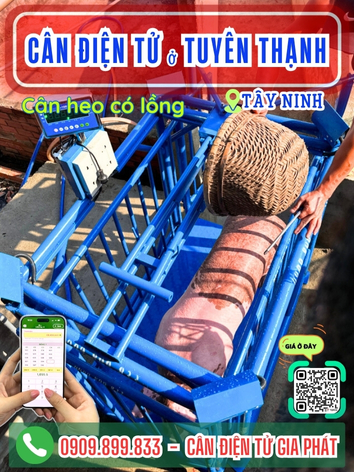 C&acirc;n điện tử ở Tuy&ecirc;n Thạnh T&acirc;y Ninh - C&acirc;n Gia Ph&aacute;t