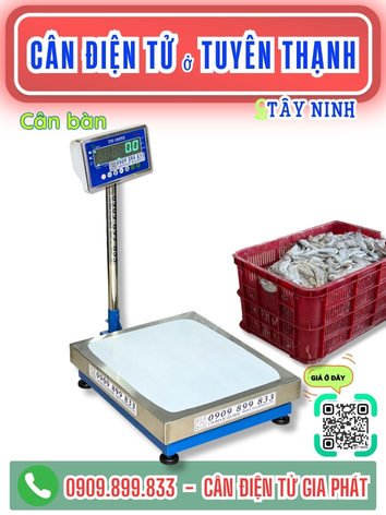 C&acirc;n điện tử ở Tuy&ecirc;n Thạnh T&acirc;y Ninh - C&acirc;n Gia Ph&aacute;t