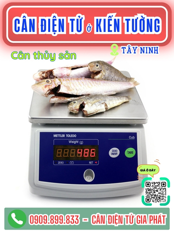 C&acirc;n điện tử ở Kiến Tường T&acirc;y Ninh - C&acirc;n Gia Ph&aacute;t