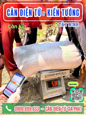 Cân điện tử ở phường Kiến Tường Tây Ninh