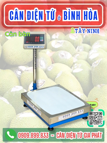 C&acirc;n điện tử ở B&igrave;nh H&ograve;a T&acirc;y Ninh - C&acirc;n Gia Ph&aacute;t