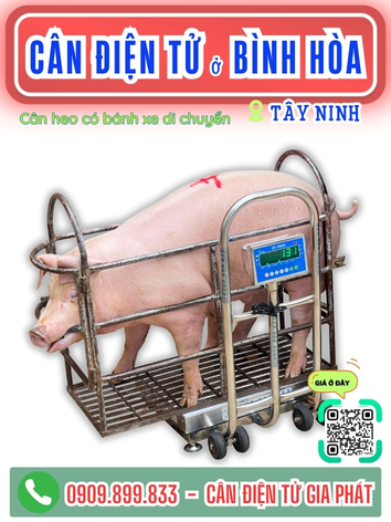 C&acirc;n điện tử ở B&igrave;nh H&ograve;a T&acirc;y Ninh - C&acirc;n Gia Ph&aacute;t