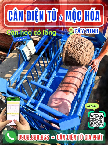 C&acirc;n điện tử ở Mộc H&oacute;a T&acirc;y Ninh - C&acirc;n Gia Ph&aacute;t