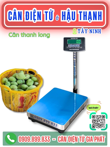 Cân điện tử ở xã Hậu Thạnh Tây Ninh