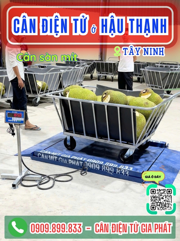 C&acirc;n điện tử ở Hậu Thạnh T&acirc;y Ninh - C&acirc;n Gia Ph&aacute;t