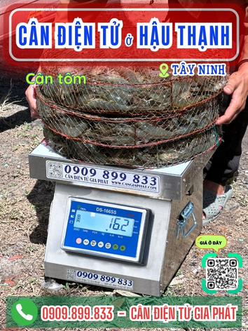 C&acirc;n điện tử ở Hậu Thạnh T&acirc;y Ninh - C&acirc;n Gia Ph&aacute;t