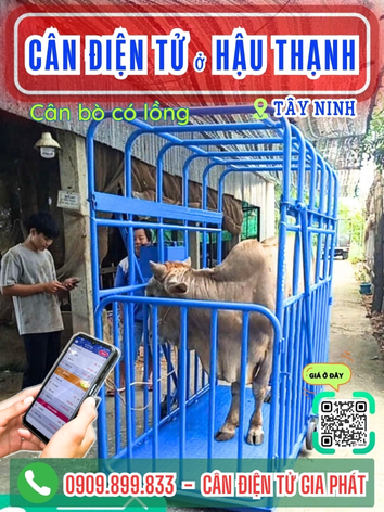 C&acirc;n điện tử ở Hậu Thạnh T&acirc;y Ninh - C&acirc;n Gia Ph&aacute;t