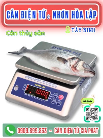 C&acirc;n điện tử ở Nhơn H&ograve;a Lập T&acirc;y Ninh - C&acirc;n Gia Ph&aacute;t