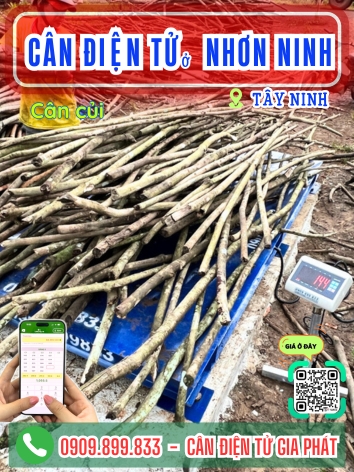 C&acirc;n điện tử ở Nhơn Ninh T&acirc;y Ninh - C&acirc;n Gia Ph&aacute;t