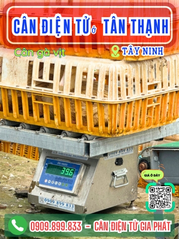 C&acirc;n điện tử ở T&acirc;n Thạnh T&acirc;y Ninh - C&acirc;n Gia Ph&aacute;t
