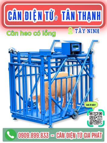 C&acirc;n điện tử ở T&acirc;n Thạnh T&acirc;y Ninh - C&acirc;n Gia Ph&aacute;t