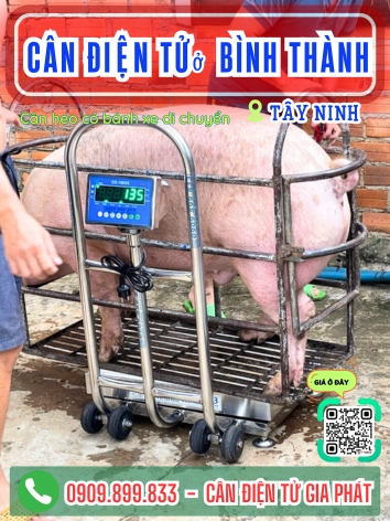 C&acirc;n điện tử ở B&igrave;nh Th&agrave;nh T&acirc;y Ninh - C&acirc;n Gia Ph&aacute;t
