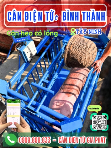 C&acirc;n điện tử ở B&igrave;nh Th&agrave;nh T&acirc;y Ninh - C&acirc;n Gia Ph&aacute;t